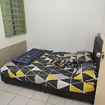 Momies House